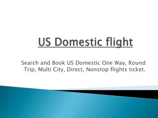 US Domestic Flights