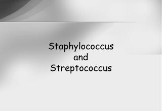 Staphylococcus and Streptococcus