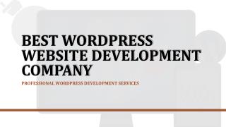Top Rated WordPress Development Company
