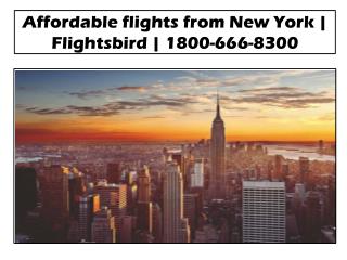 Affordable flights from Chicago to New York @Flightsbird