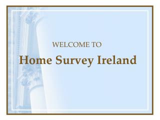 Find The Best Building Surveys in Dublin 2