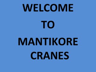 Tower Crane Hire Sydney