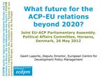 What future for the ACP-EU relations beyond 2020
