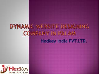 Dynamic Website Designing Company in Palam