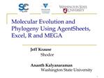 Molecular Evolution and Phylogeny Using AgentSheets, Excel, R and MEGA