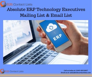 Absolute ERP Technology Executives Mailing Lists in USA