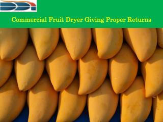 Commercial Fruit Dryer-Dynamic Dryers International