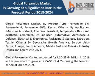 Global Polyamide Marketâ€“ Industry Trends and Forecast to 2024