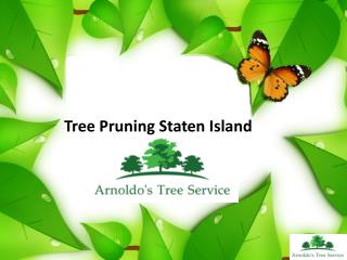 Tree Pruning Staten Island