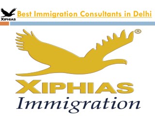 Best Immigration Consultants in Delhi