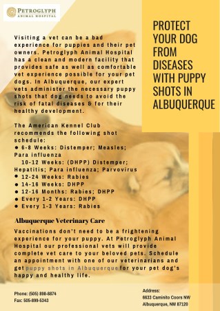 Visit Petroglyph Animal Hospital for Puppy Shots in Albuquerque