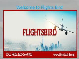 Find best flights From Newark (EWR) to Punta Cana (PUJ)
