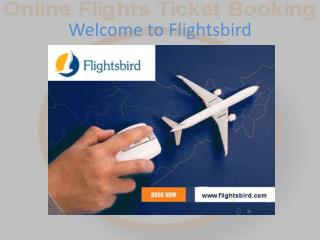 Flights Bird offer flights from Newark (EWR) to Santo Domingo (SDQ)