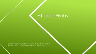 Attaalla Elroby - Engineering Manager From Marblehead