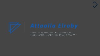 Attaalla Elroby - Experienced Professional From Massachusetts
