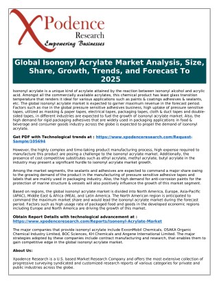 2025 Vision for Global Isononyl Acrylate Market