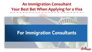 An Immigration Consultant Your Best Bet When Applying for a Visa
