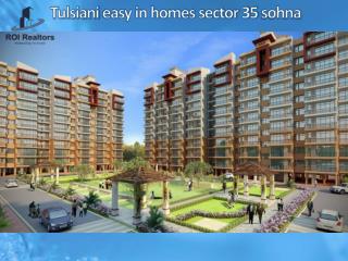 Best affordable project tulsiani easy in homes sector 35 sohna