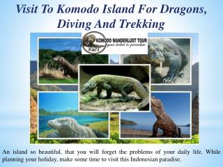 Visit To Komodo Island For Dragons, Diving And Trekking