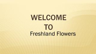 Looking for the Flower Delivery Services in Markham
