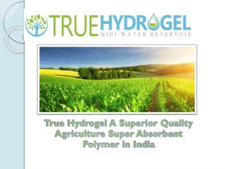 True Hydrogel A Superior Quality Agriculture Super AbsorbentPolymer in India