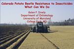 Colorado Potato Beetle Resistance to Insecticides What Can We Do Galen P. Dively Department of Entomology University o