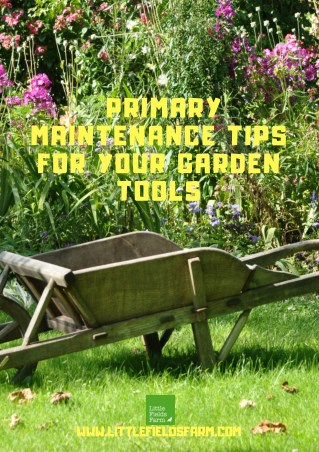 Primary Maintenance Tips For Your Garden Tools