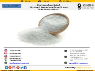 Silica Industry Report Outlook 2025: Growth Opportunity And Demand Analysis, Market Forecast, 2017-2025