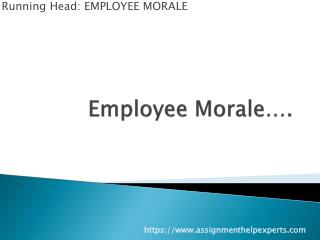 Employees work environment assignment help