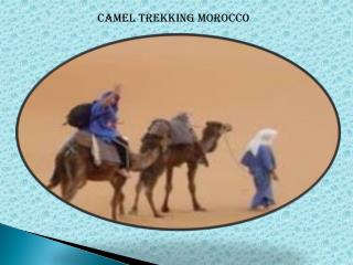 Camel Trekking Morocco