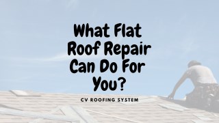 What Flat Roof Repair Can Do For You?