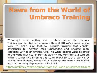 News from the World of Umbraco Training