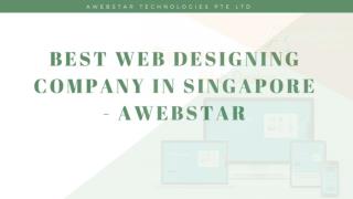Premier Web Designing Agency
