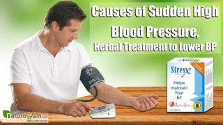 Causes of Sudden High Blood Pressure, Herbal Treatment to Lower BP