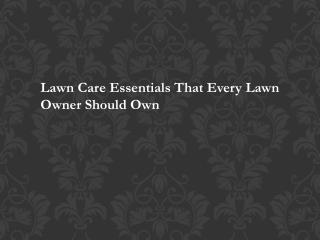 Lawn Care Essentials That Every Lawn Owner Should Own TurfWorks