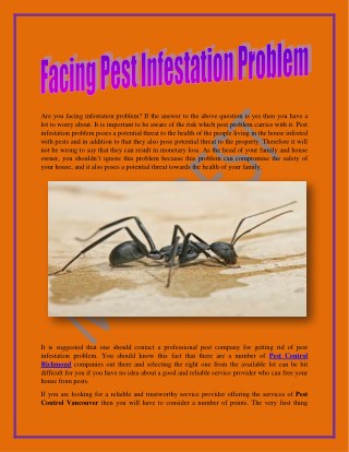 Facing Pest Infestation Problem