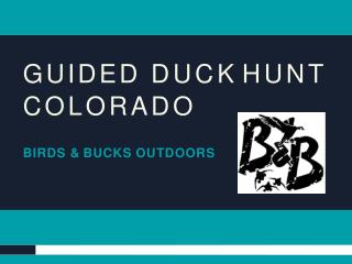 Guided Duck Hunt Colorado