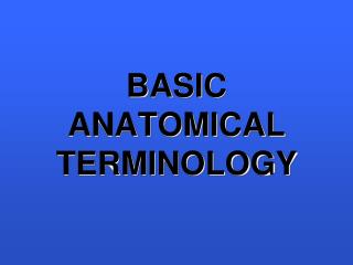 BASIC ANATOMICAL TERMINOLOGY