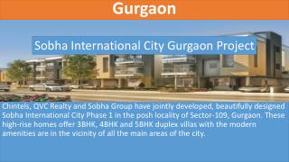 Property For Sale in Sector 109 Gurgaon