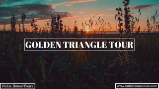 Golden Triangle Tour