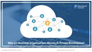 WHY ARE BUSINESS ORGANIZATIONS MOVING TO PRIVATE BLOCKCHAINS?