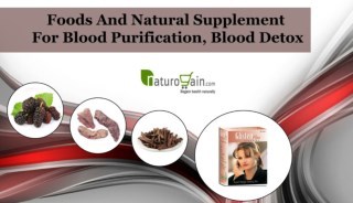 Foods and Natural Supplement for Blood Purification, Blood Detox