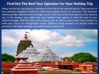 Find out the best tour operator for your holiday trip