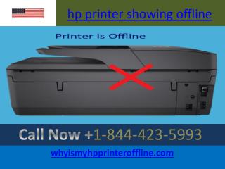 hp printer showing offline