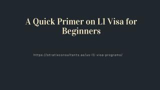 A Quick Primer on L1 Visa for Beginners