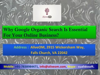 Why Google Organic Search Is Essential For Your Online Business?