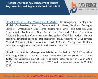 Global Enterprise Key Management Marketâ€“ Industry Trends and Forecast to 2024