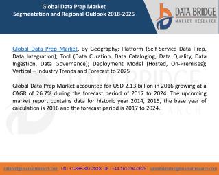 Global Data Prep Market â€“ Industry Trends and Forecast to 2024
