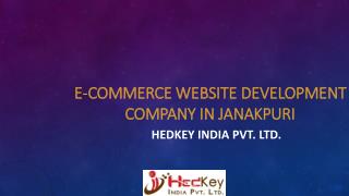 E-Commerce Website Development Company in Janakpuri