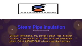 Steam Pipe Insulation